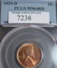 1929-D PCGS 64a SL.JPG
