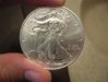 new eagle.jpg