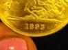 coinback_cropped.JPG