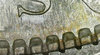 1881s a1 07 chipped denticles above S in States.jpg