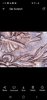 Screenshot_20200912-141626_OneDrive.jpg
