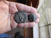 DSCN2398.JPG