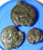DSCN0932.JPG