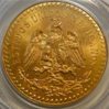 chile gold obv.jpg