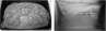 Untitled.png