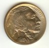 1913 Buffalo nickel, obv.jpeg