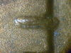 Electricite Bullet #2 Close-Up REV.jpg