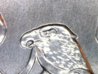 20110629_142032786.jpg