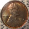 1929-S ANACS 63 O2.JPG