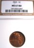 1945-NGC 67 cSL.JPG