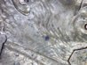 20110701_110703263.jpg