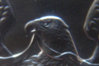 Eagle Eye.jpg