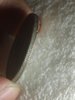 IMG_20200928_185158869.jpg