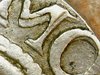1637 LION DOLLAR NETHERLANDS.jpg 2.jpg
