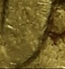 20201004_210626.jpg