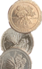 0830624E-EEBF-40CB-84CD-D01AA3A6379C.png