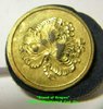 Stand of Grapes Button (1).jpg