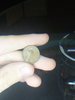 IMG_20201016_232156.jpg