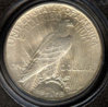 1925PCGSPeaceRev.jpeg