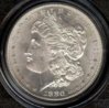 1880SPCGSMorganObv.jpg