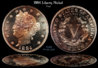 1884_LibertyProof.jpg