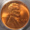 1944-D PCGS  O.JPG
