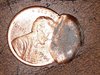 20201014_144429.jpg