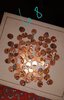20201014_103505.jpg