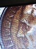 20201103_141750.jpg