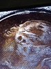 20201103_141731.jpg