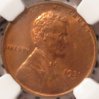 1931-D NGC O.JPG