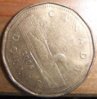 loonie2.jpg