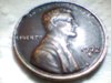 Snapshot_20110718_1.JPG