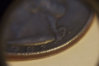 1982pedge2.jpg
