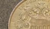 Closeup2.jpg