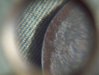 106_0076.JPG