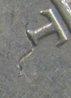 Capture_00562.JPG