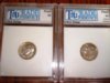Dimes 3.JPG