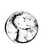 heads12-19d 029.jpg