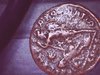 WIN_20201119_13_36_02_Pro.jpg
