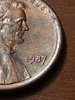 IMG_20201121_200254181.jpg