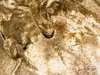 WIN_20201125_13_11_27_Pro.jpg