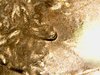 WIN_20201125_13_12_50_Pro.jpg