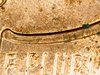 WIN_20201125_11_31_51_Pro.jpg