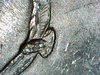 Image_2020-11-27 18_32_38_547.JPG