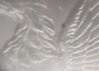 Eagle Wing.jpg