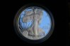 2011 ASE Proof.jpg