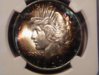 DSCF2871.jpg