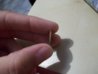 100_3279.jpg