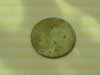 DSC00323.jpg